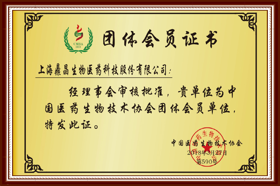 荣誉资质